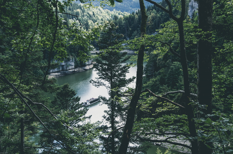 tranquil scene, doubs, green color, river, low angle view, bamboo - plant, rainforest, plant, tree, tranquility, built structure, no people, land, scenics - nature