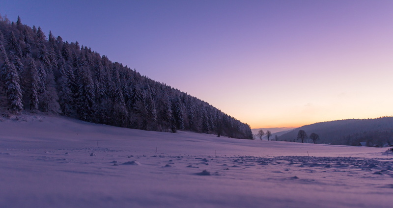 La San, Switzerland, La Chaux-de-Fonds, 2K, The Sagne, snow, trees, winter, forest