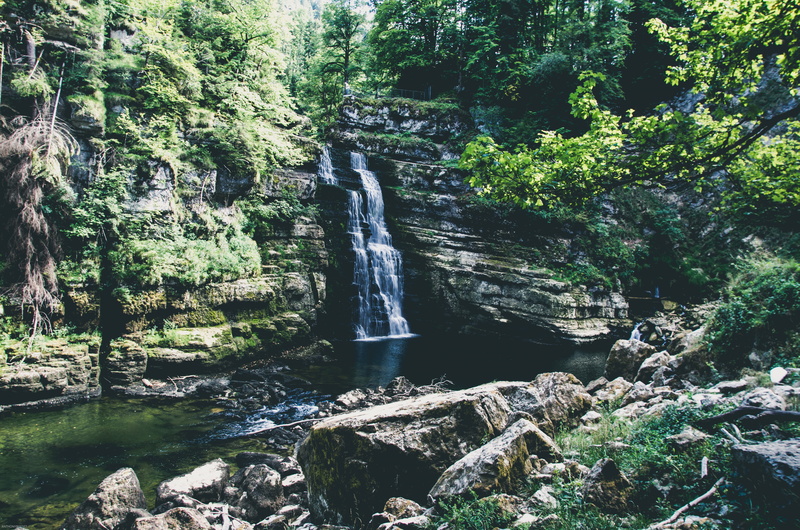no people, border, rainforest, tree, scenics - nature, les brenets, flowing water, motion, forest, waterfall, solid, land, rock - object, la chaux de fonds