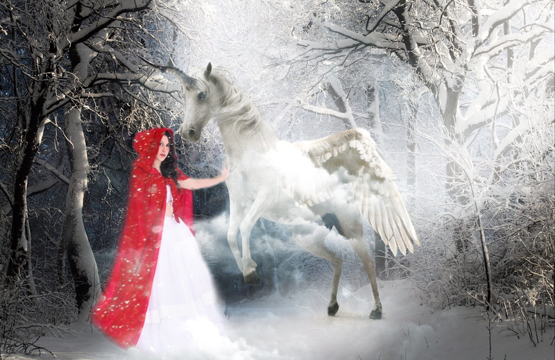 pegasus, fairy tales, white, red, one person, rotkäppchen, glade, cold temperature, digital composite, clothing, trees, forest, horn, cape, fond of animals
