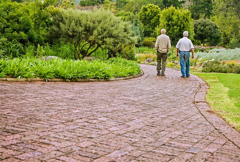 green, footpath, old friends, getting old, talking, sharing ideas, people, 2K, concrete, males, two people, paving stone, tree, memories, nature, friendship