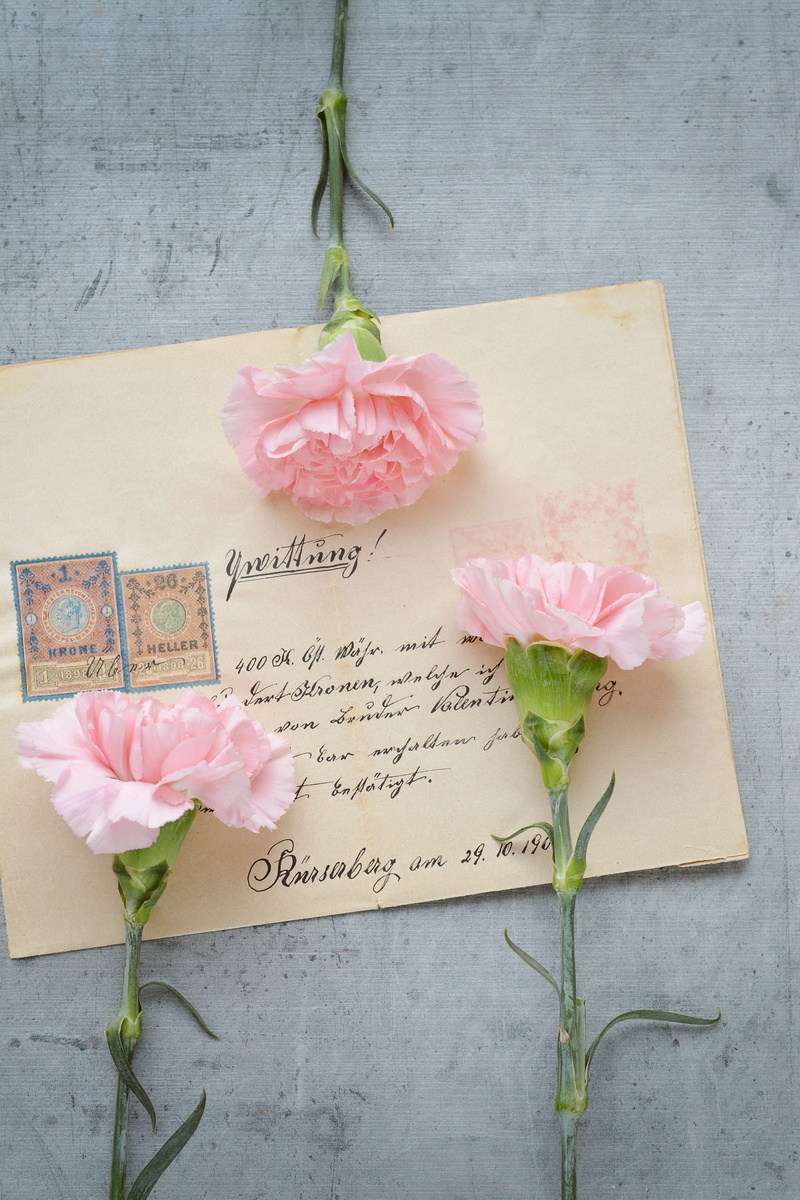 carnation, message, softness, petal, flowers, freshness, paper, bouquet, decoration, outdoors, 5K, positive emotion, nature, rose, no people, western script