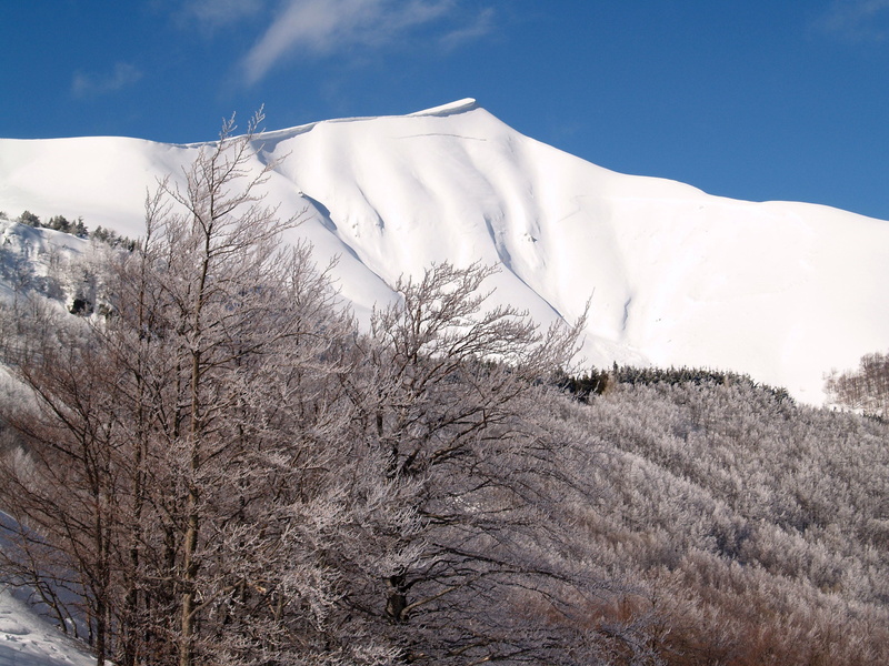 scenics - nature, no people, nature, coniferous tree, land, tree, snowcapped mountain, snow, cloud - sky, landscape, corno alle scale, cold temperature