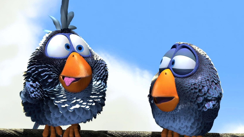 1080P, funny, ever, one, days, silly, abstract, 3d and abstract, humorous, 3d, birds