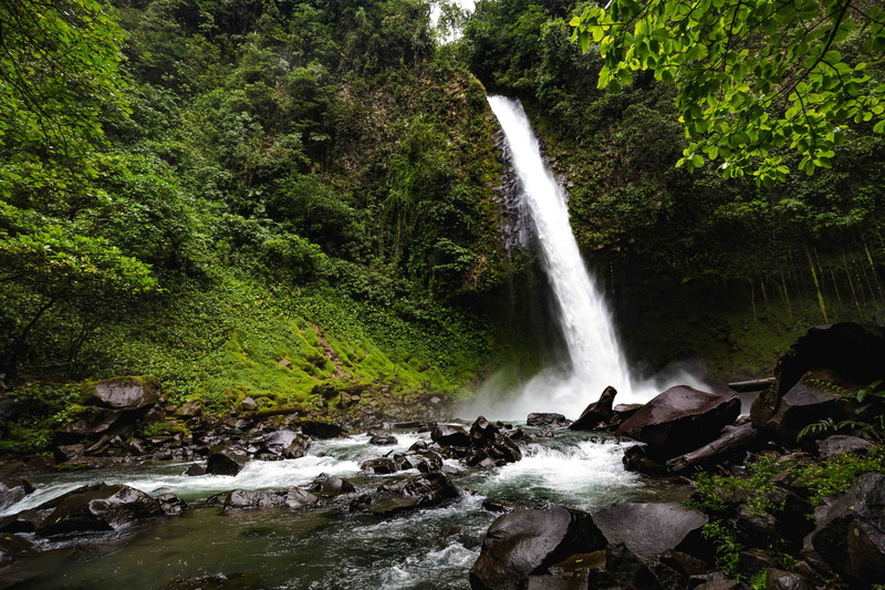 la fortuna waterfall, trees, unsplash, rock - object, green color, plant, long exposure, photo of the day, rock, growth, the great outdoors, landscape