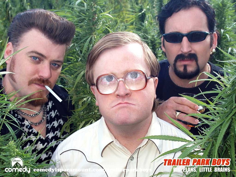 beard, men, glasses, plant, sunglasses, trailer park boys, males, adult, people, mid adult, fashion, headshot, young adult, portrait, looking at camera