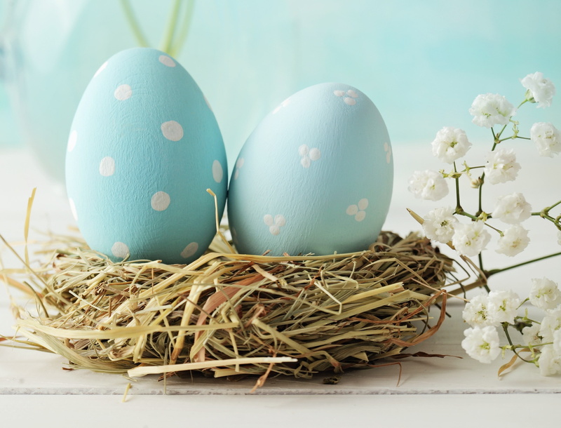 two, blue, holiday, easter, 2K, eggs, Blue Eggs, HD, white, Easter Holiday