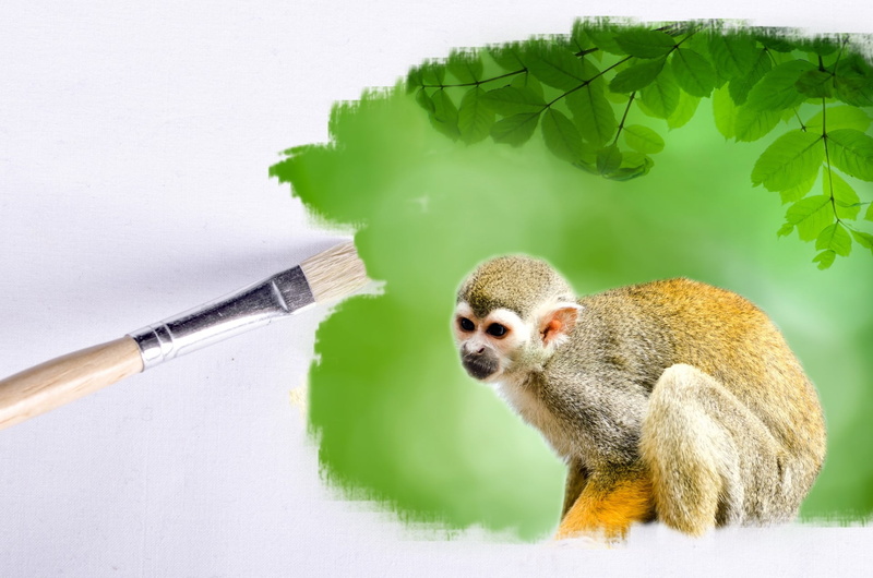 indoors, no people, canvas, one animal, animals, card, 1080P, idea, field, fake, green color, leaf, animal themes, earth, side view, looking, animals in the wild