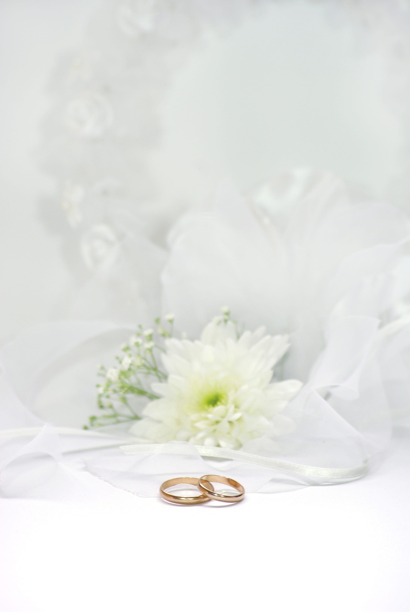 deco, studio shot, jewelry, vulnerability, indoors, plant, jewellery, bouquet, rings, wedding ring, romance, flowers, marry, close-up, freshness, wedding ceremony