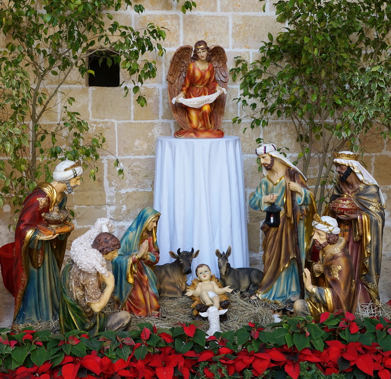 plant, profet, testament, outdoors, craft, bible, flowers, jesus, flower, architecture, Crib, religion, male likeness, green, representation, 4K, red