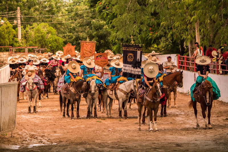 passion, horses, vertebrate, animal wildlife, day, cavalry, men, pets, group of animals, culture, outdoors, domestic, reverence, sitting position, plant