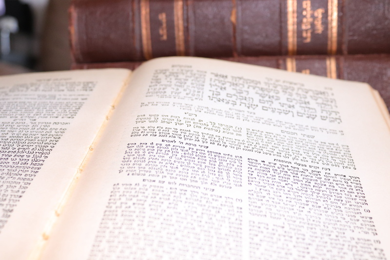 learning, western script, literature, jewish book, page, selective focus, education, text, torah, 5K, open, textbook, religious equipment, judaism, religion