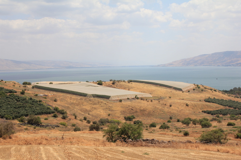 sky, jewish, cloud - sky, mountain, tree, herrlich, summer, field, galilee, israel, fields, greenhouse, lake, nature, plant, waters, tranquil scene, tranquility