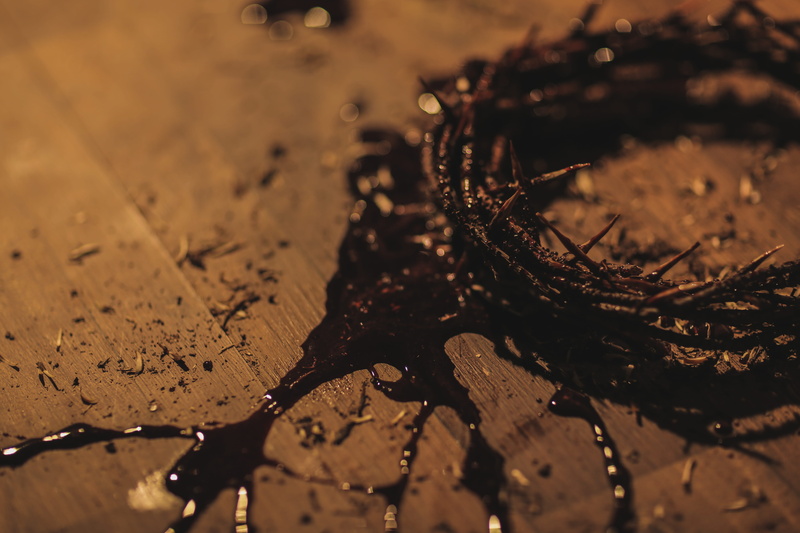 fragility, passage, sacrifice, day, blood, plant, tree, tar, sunlight, photo, 5K, shadow, nature, supper, focus on foreground, leaf, high angle view, bubble