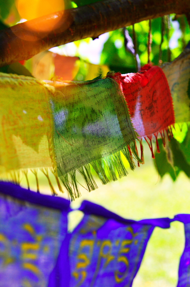 buddha, outdoors, tree, clothing, reference material, holiday, fabric, chinese, nature, hanging, focus on foreground, blue, plant, selective focus, no people