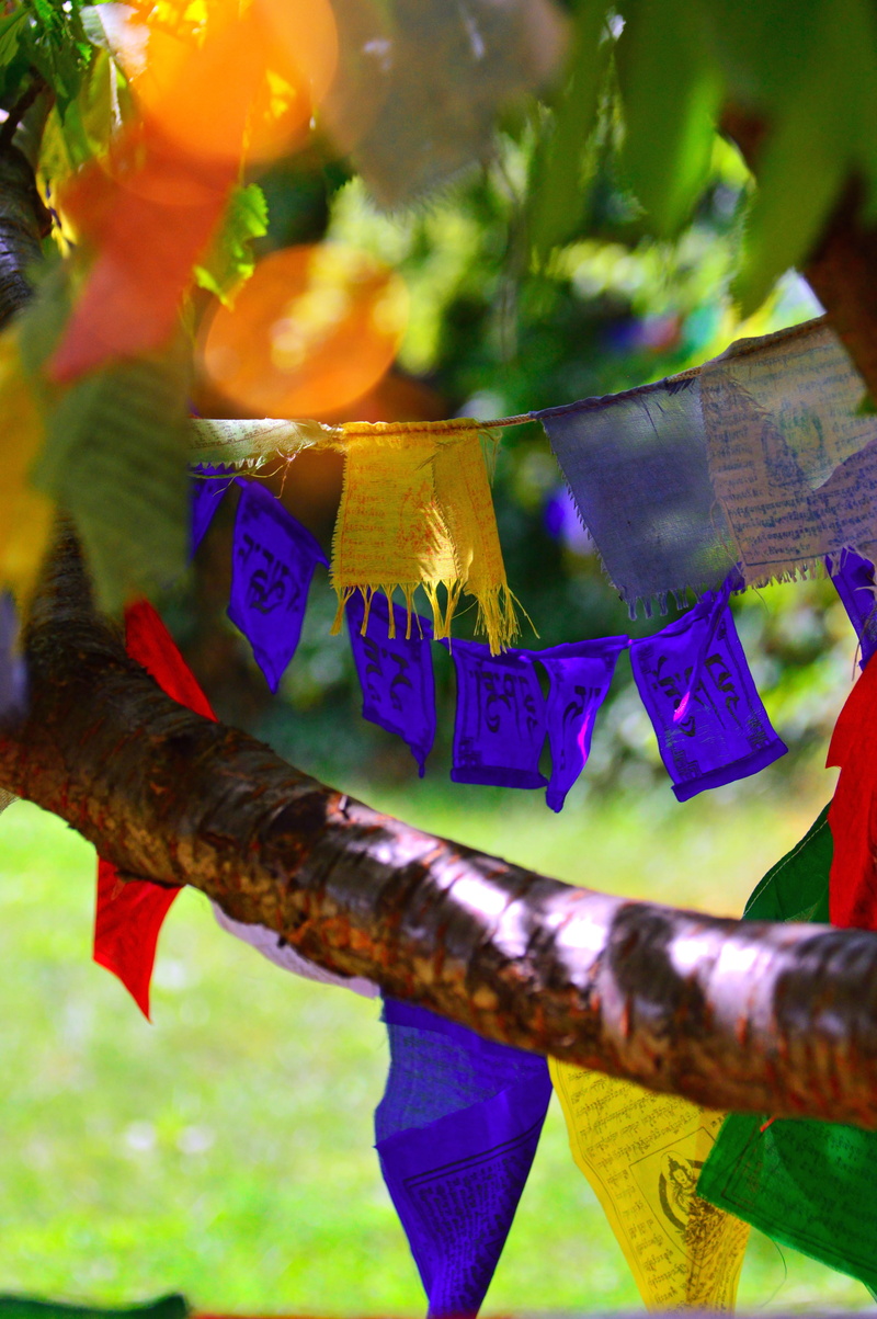 celebration, design, outdoors, prayer flags, no people, textile, close-up, chinese, spirituality, traditional festival, nature, day, plant, tradition, selective focus