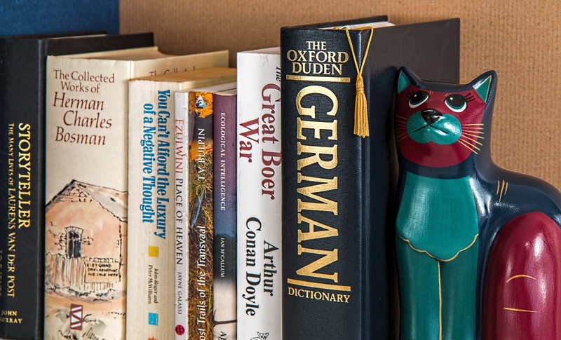 diversity, communication, directly above, western script, text, knowledge, fashion, pattern, bookend, books, education, 5K, learning, leather, publication