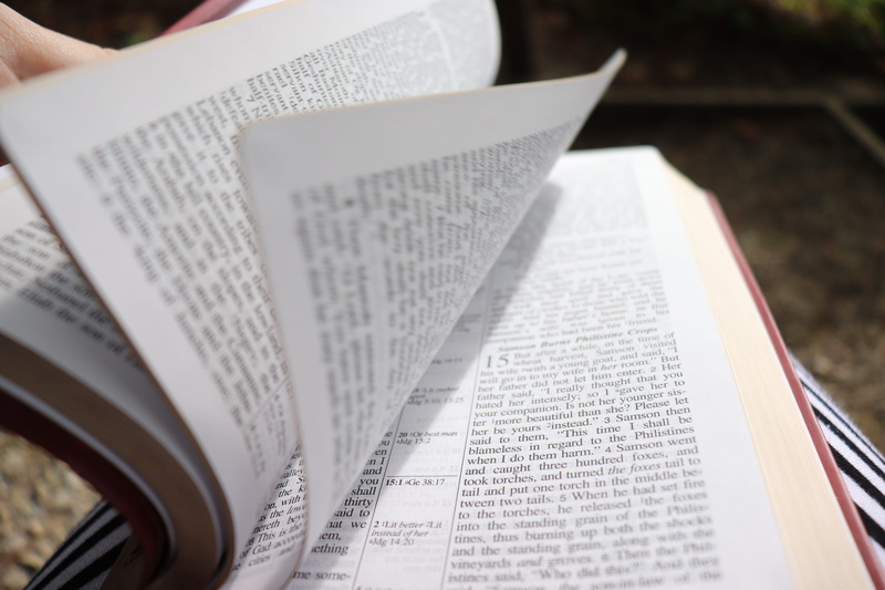 jesus, page, christianity, religion, hope, motion, study, still life, learning, literature, reading, movement, paper, publication, god, faith, holy, western script