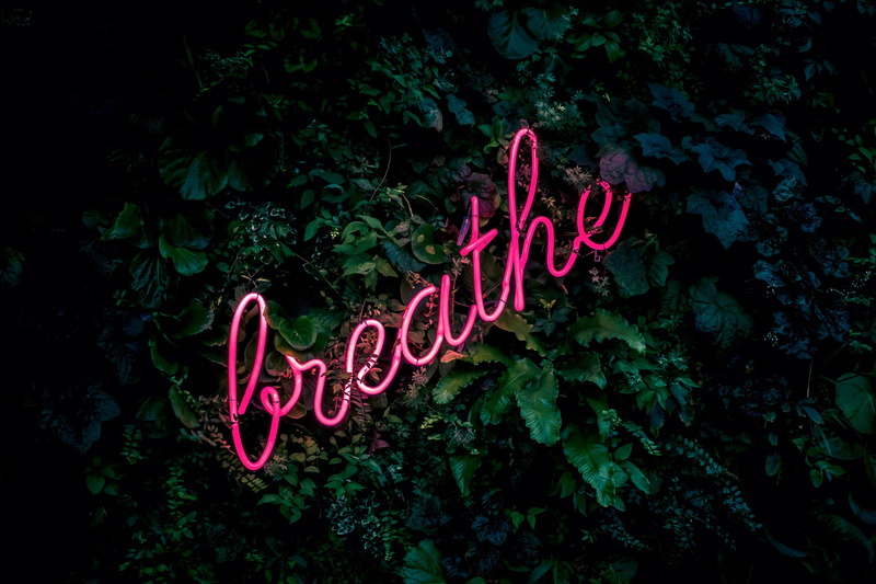growth, outdoors, celebration, single Word, design, led, holiday, love, close-up, 2K, decoration, backgrounds, green color, nature, breath, heart Shape