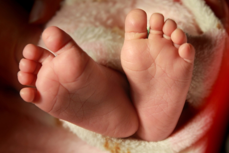 cute, human toe, new Life, child, kid, human, low section, human Hand, infant, childhood, foot, babies And Children, little, soft, leg, foots, human leg