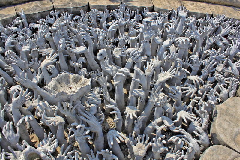 science, large group of animals, hand, animal wildlife, large group of objects, beach, Hands, flock of birds, day, industry, vertebrate, 1080P, sea life