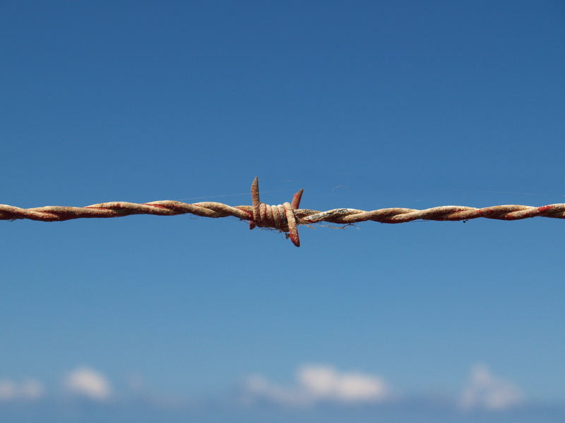 blue, barrier, 2K, barbed, exclusion, nature, Blood, safety, day, outdoors, connection, protection, boundary, low angle view, macro, wire, sign, communication