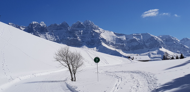 scenics - nature, snowcapped mountain, cold temperature, switzerland, snow, no people, mountain, land, dents-du-midi, beauty in nature, sport, travel destinations