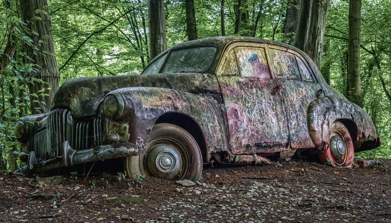 plant, decline, land, tree, pkw, no people, rusted, car cemetery, wreck, demolished, metal, land vehicle, ruined, run-down, outdoors, old, old car, vintage car automobile