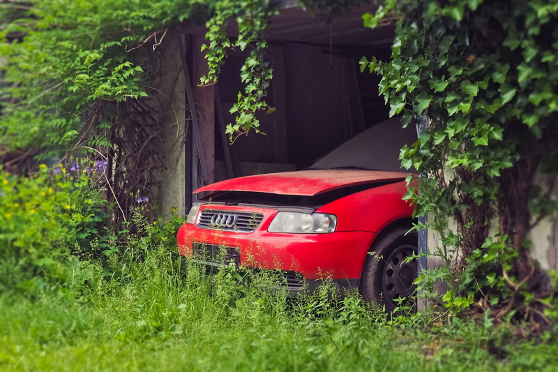 scrap, pkw, outdoors, stationary, grass, architecture, logged out, plant, transportation, 4K, lost places, growth, nature, vehicle, land, total damage