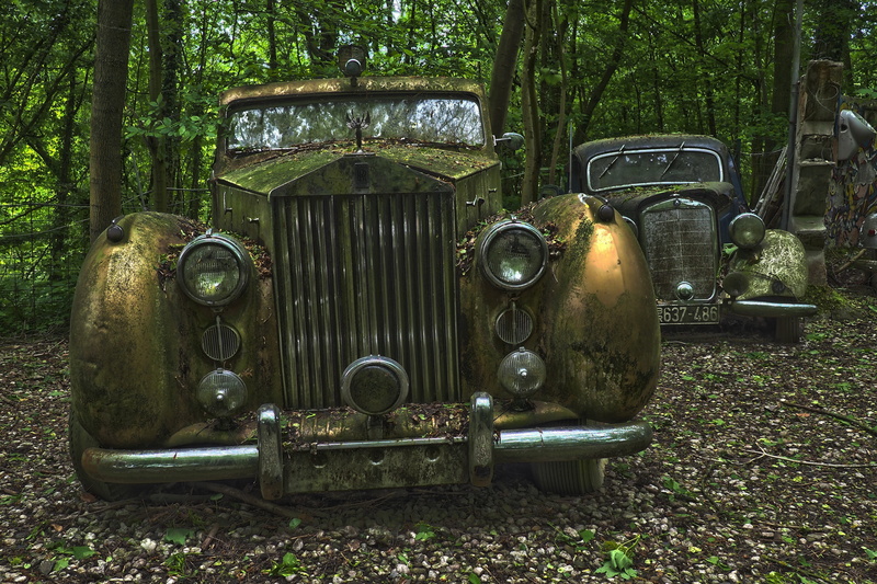 deterioration, run-down, neglected, land, old cars, trees, wreck, outdoors, forget, rolls royce silver wraith, rusty, mercedes benz, scrap car, memory
