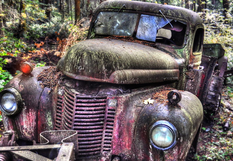 auto, mode of transportation, transportation, vintage, day, no people, vehicle, rusty, broken windows, old, metal, dirty, lost, chassis, green, forest