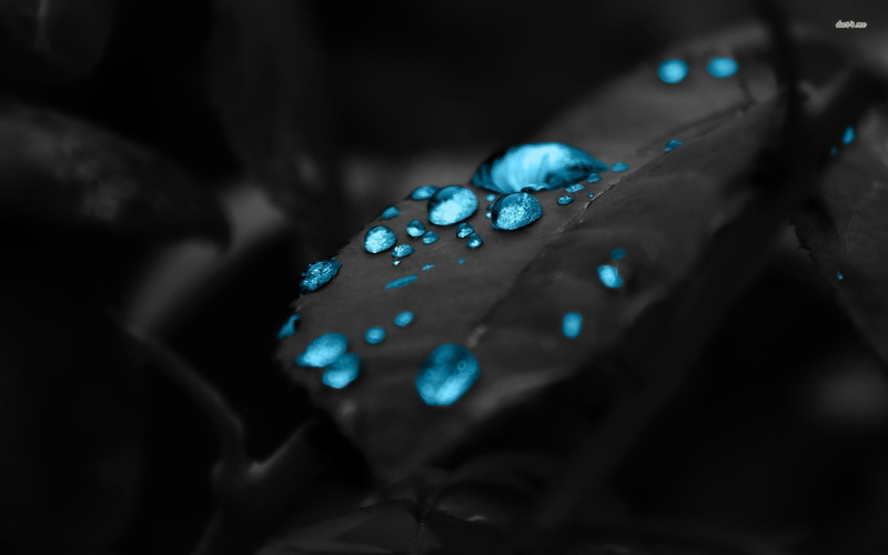 precious gem, bracelet, indoors, water, freshness, fragility, vulnerability, studio shot, no people, selective focus, water drops, blue, wet, shiny, 1080P