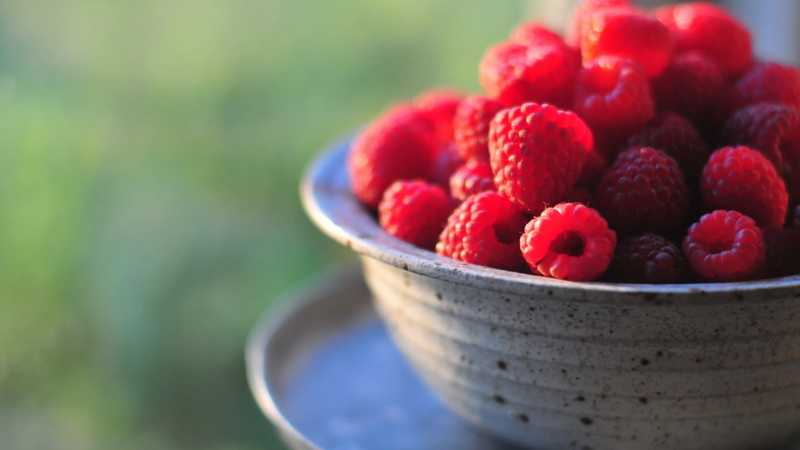 raspberries, cup, still life, 1080P, berries, healthy eating, red, full, food, gray, close-up, freshness, no people, raspberry, container, berry fruit