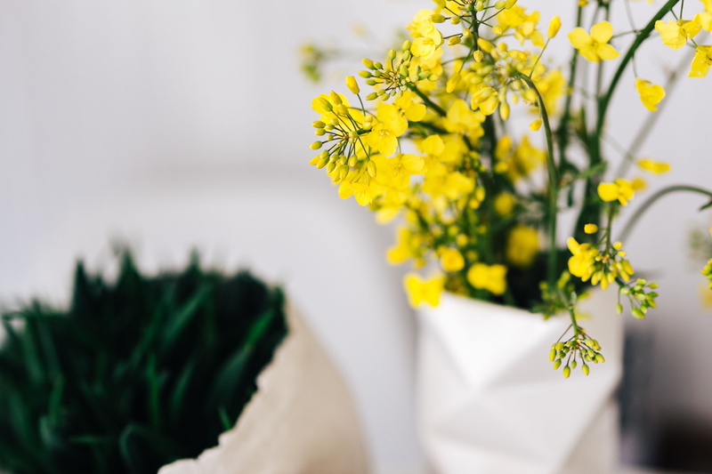 femine, 4K, home office, close-up, bunch of flowers, selective focus, no people, workspace, female, flower arrangement, vase, yellow, vulnerability, leaf