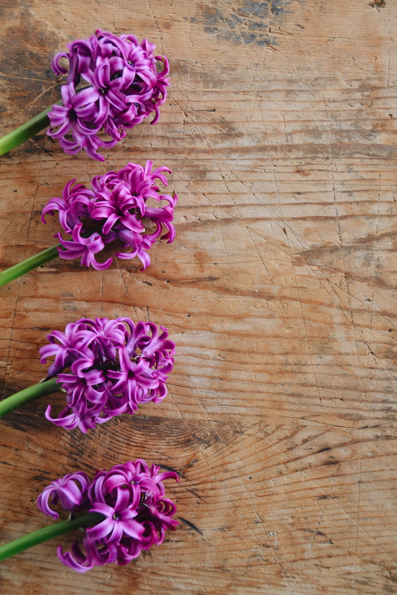 still, inflorescence, vulnerability, bouquet, close-up, romantic, flower, nature, wood - material, elegant, flowering plant, purple, geometric, italy, rose