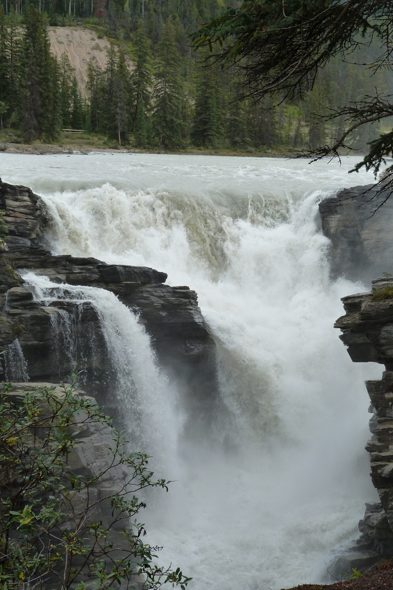 rockies, athabasca falls, waterfall, environment, beauty in nature, land, power, plant, nature, 4K, no people, flowing, falling water, long exposure, outdoors