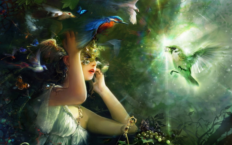 Little, Parrot, Girl, Beautiful, 1080P