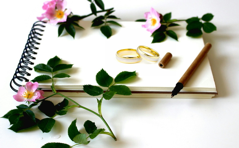 indoors, write, journal, event, studio shot, love, wedding, diary, pen, beauty in nature, rose, white background, note, flower, marry me, rose - flower