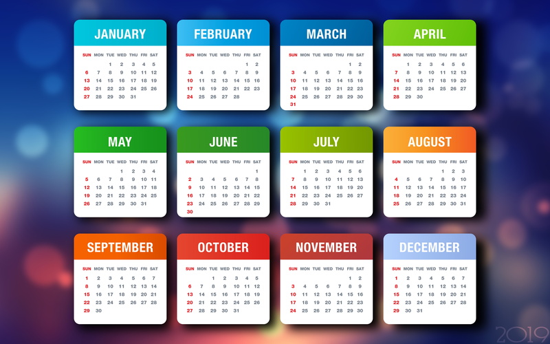 Background, The year is 2019, Weeks, Calendar 2019, Minimalism, 8K, The Year Of The Pig, Number, Months