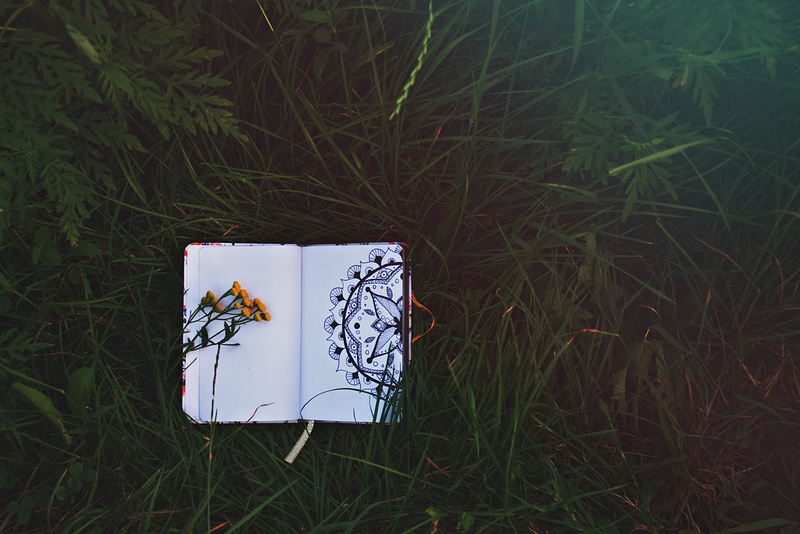 filed, green, open, grass, paper, sketch, yellow, space, natural, notebook, mandala, gra, book, nature, drawing, backgrounds, ink, tought, white, summer