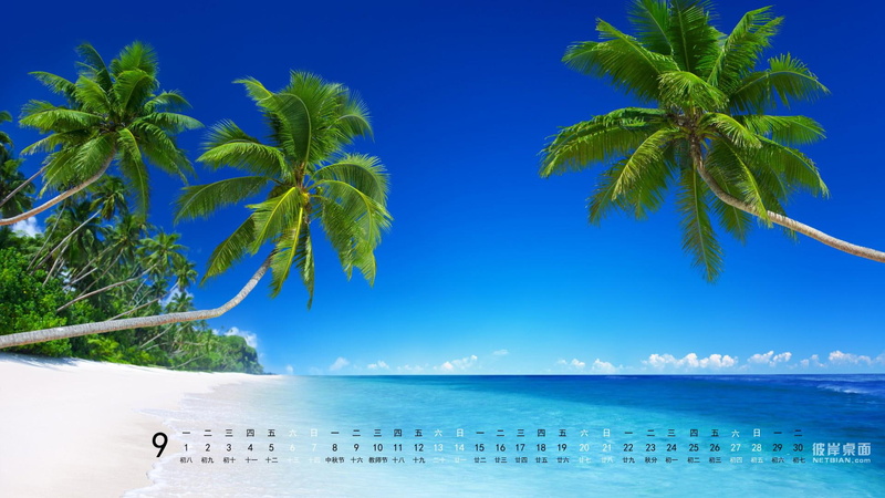 beach, side, september, sea, the other side of desktop in september 2014 calendar blue sea, green, calendar, desktop, palm, green palm, coast, 1080P, blue