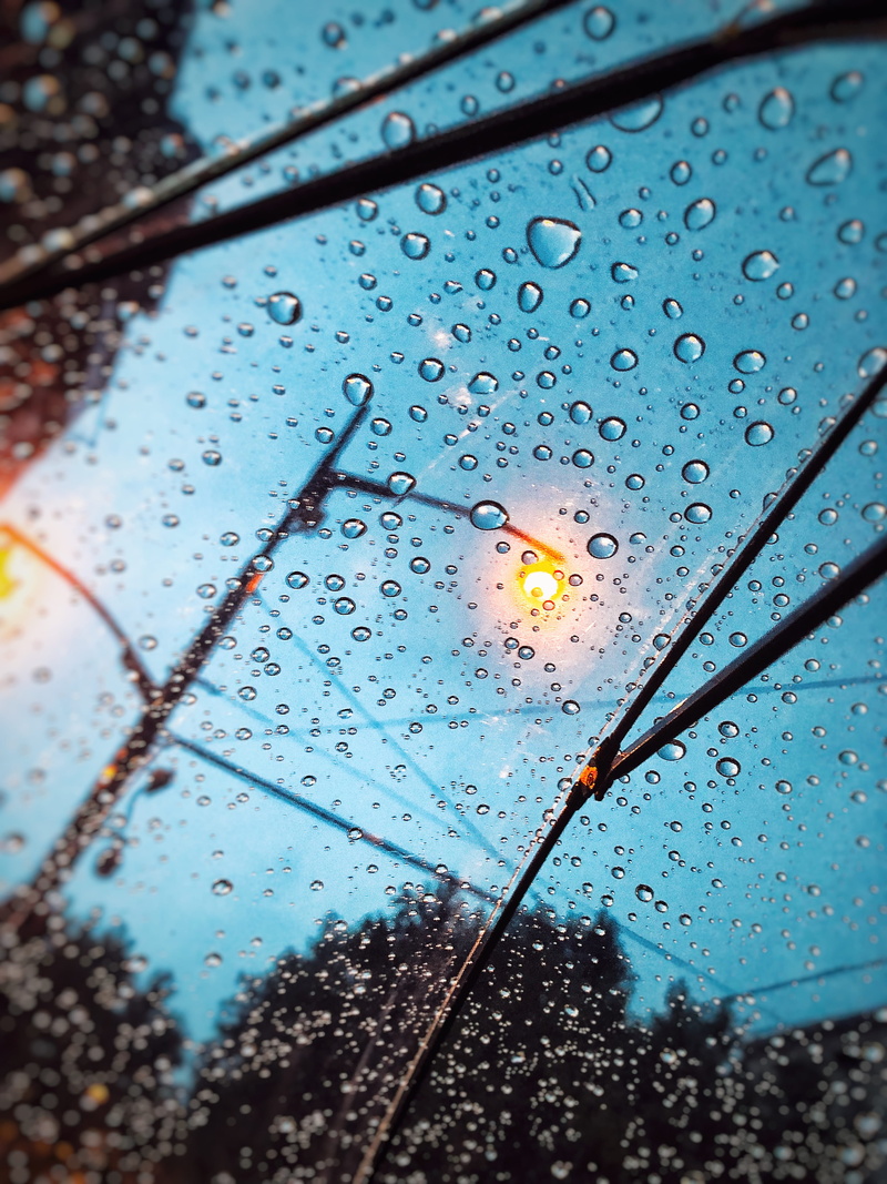 transparent, plant, rain, plant part, leaf, glass - material, rainy season, focus on foreground, dew, car, raindrop, close-up, water, nature, drop, no people