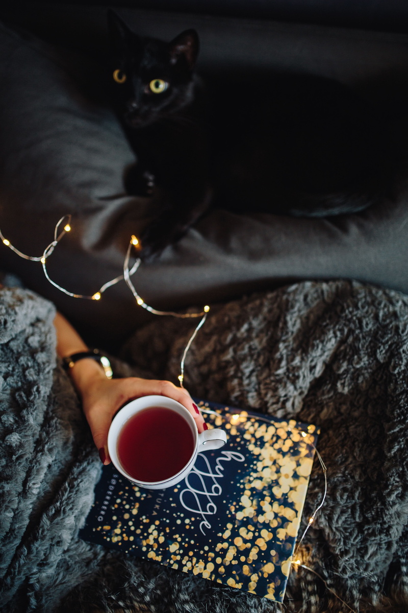 reading, mug, home, indoor, drink, coffee - Drink, animal themes, book, bed, animal, young, coffee, drinking, food and drink, at home, high angle view