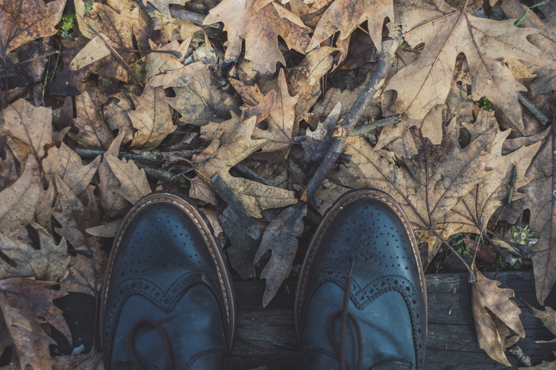 body part, jeans, day, personal perspective, wingtip, dry, black, human body part, plant part, high angle view, human foot, leaf, change, messy, flay, 5K