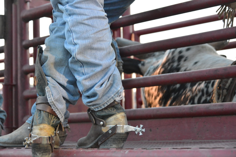 retro, ranch, vintage, texas, day, fashion, focus on foreground, shoe, wearing, brown, cowboy, boots, rodeo, boot, real people, domestic animals, one person