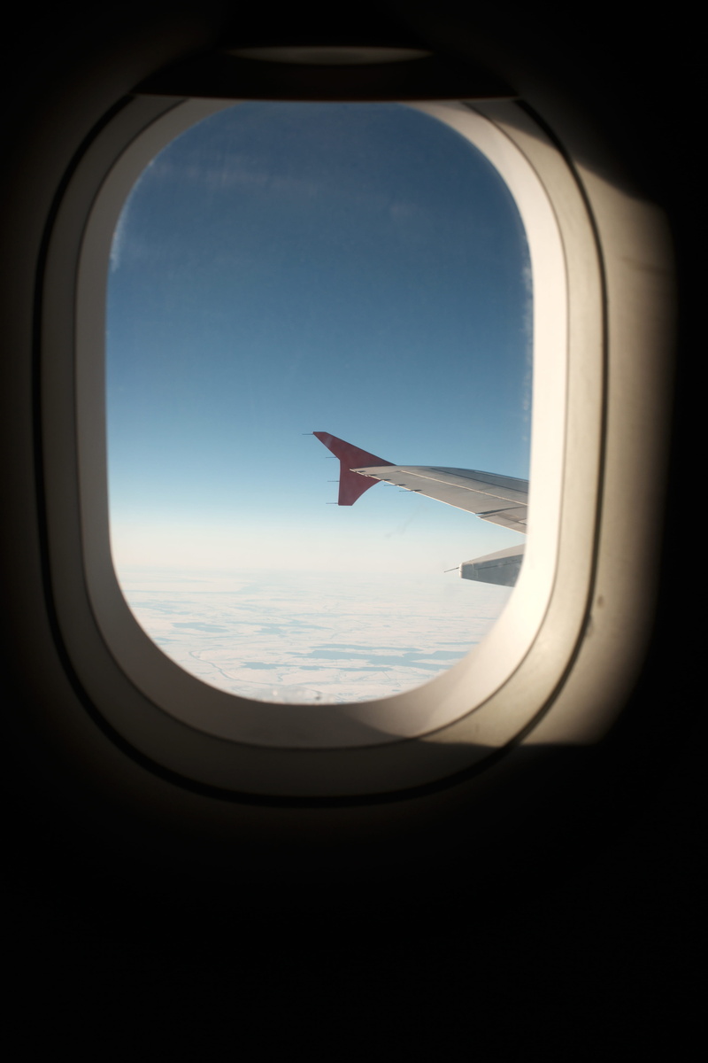 airplane, public transportation, wingtip, nature, glass - material, aeroplane, mid-air, aircraft, plane, air vehicle, mode of transportation, inside, daytime