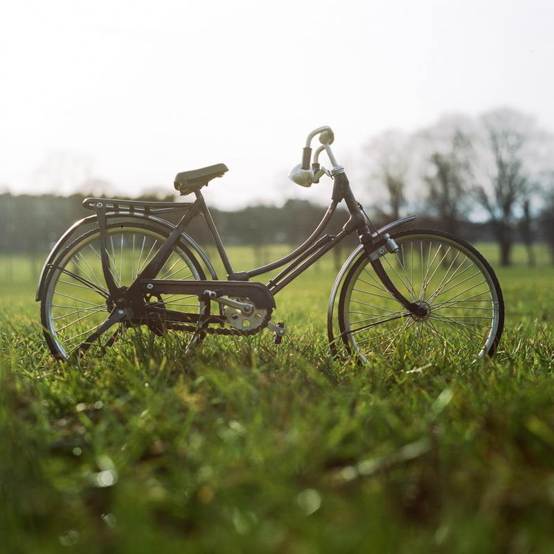 cruiser, plain, cycling, land vehicle, brown, selective focus, nature, field, grass, brown beach, land, cruiser bicycle, stationary, 4K, metal, plant