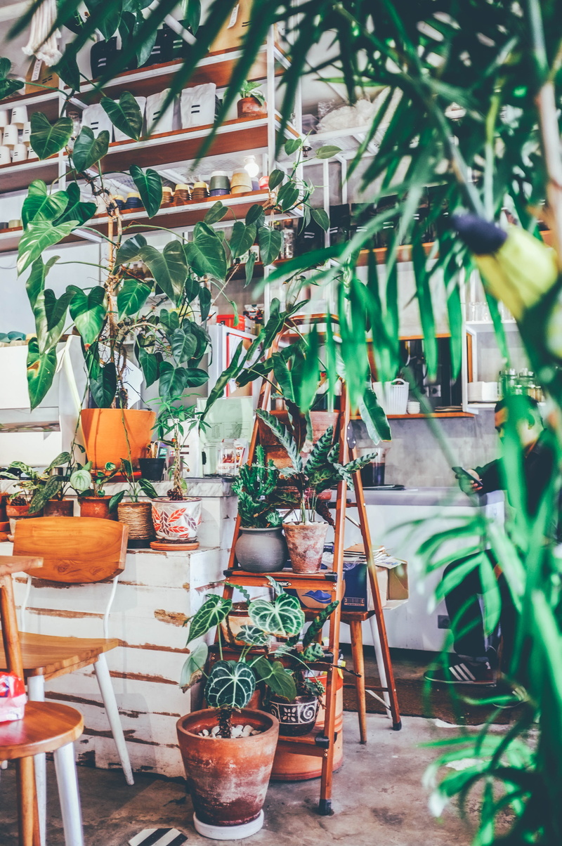 growth, architecture, garden, cup, coffe shop, built structure, frame, beauty in nature, day, freshness, hanging, no people, jakartum, decoration, gardening