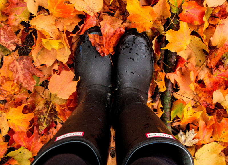 plant part, shoe, one person, human body part, wellington, autumn, rain, adult, boots, leaves, maple, person, 4K, original, fall, change, human limb, plant