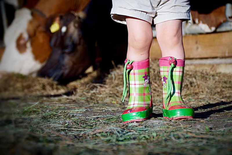 background, low section, romantic, straw, mammal, mood, Rubber Boots, human body part, offspring, day, childhood, wearing, human foot, Shoes, fairytale